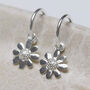 Sterling Silver Daisy Stud Hoops, thumbnail 5 of 8