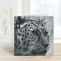 Leopard Blank Greeting Card Safari Cards, thumbnail 2 of 7