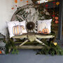 Pumpkin Patch Cushion Cover Collection, thumbnail 4 of 8