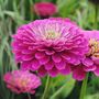 Happy Birthday Gardening Gift For Mum / Her Journal And Luxury Gloves, thumbnail 9 of 10