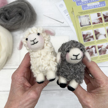Needle Felting Kit Spring Lambs, 3 of 11