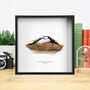 Male Male Competition Stag Beetles Handcrafted Frame, thumbnail 1 of 3