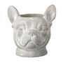 Cement Puppy Dog Planter, thumbnail 4 of 5