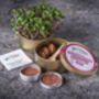 Grow Your Own Microgreens Teeny Greeny Micrology® Kit, thumbnail 7 of 12