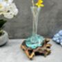 Molten Glass Vase On Teak Driftwood Handmade Wooden Decor Individual Gift, thumbnail 6 of 6