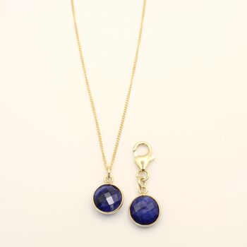 Sapphire Owner Necklace And Pet Collar Charm Set, 2 of 8