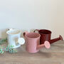 Mini Iron Watering Can For Flowers, thumbnail 8 of 9