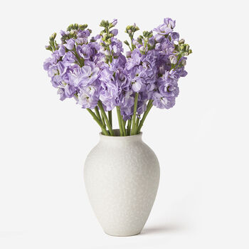 Amethyst Stock Fresh Bouquet, 2 of 4