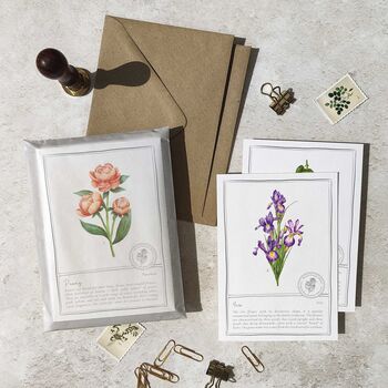 Botanical Garden Flowers Postcards Gift Set, 4 of 10