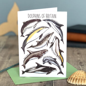Wildlife Of Britain Greeting Cards Pack Volume Three, 10 of 10
