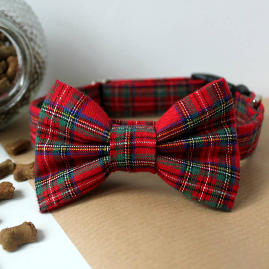 Stewart Tartan Dog Bow Tie By Feathers & Tails