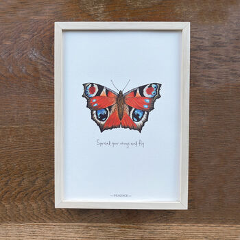 Peacock Illustrated Butterfly Print, 4 of 5