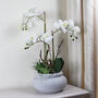 Luxury White Potted Artificial Phalaenopsis Plant, thumbnail 2 of 3