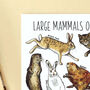 Large Mammals Of Britain Postcard, thumbnail 6 of 7