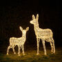 Swinsty Doe And Fawn Dual LED Plug In Light Up Reindeer, thumbnail 6 of 8