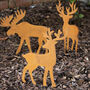 Rusty Decorative Stag Garden Stakes, thumbnail 1 of 3