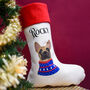 Personalised Dog Christmas Jumper Present Stocking, thumbnail 12 of 12