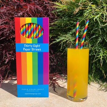 Rainbow Paper Drinking Straws Pack Of 38 Eco Straws, 2 of 6