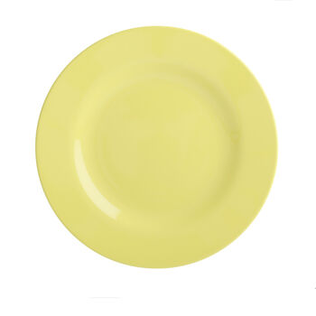 Colourful Melamine Picnic Camping Kids Plate, 4 of 12