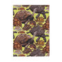 Creep Of Tortoises Print Postcard, thumbnail 2 of 7