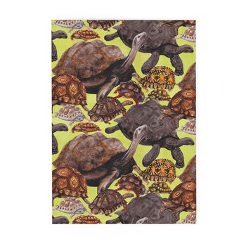 Creep Of Tortoises Print Postcard, 2 of 7