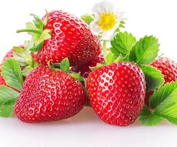 Strawberry Plants 'Sweetheart' Six X In 9cm Pots, 3 of 4