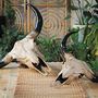 Faux Bison Wall Decor Large And Extra Large, thumbnail 3 of 7