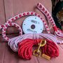 Heart Pattern Pink With Red Valentine's Day Make Your Own Dog Lead Craft Kit, thumbnail 3 of 8