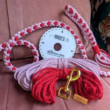 Heart Pattern Pink With Red Valentine's Day Make Your Own Dog Lead Craft Kit, 3 of 8
