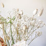 Gypsophila And Protea Pink Bouquet 'Sugar Lu', thumbnail 5 of 6