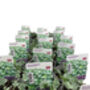Dichondra Silver Falls – 3x 9cm Potted Trailing Plants, thumbnail 1 of 3