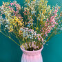 Rainbow Candyfloss Dried Gypsophila Bouquet, thumbnail 2 of 9