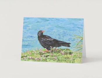 Cornish Chough Greeting Card, 4 of 6