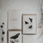 Set Of Four Butterfly Cards – Vintage Illustration Mix, thumbnail 10 of 12