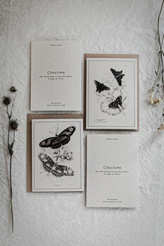 Set Of Four Butterfly Cards – Vintage Illustration Mix, 10 of 12