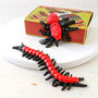 Box Of Novelty Slugs Or Creepy Crawlies, thumbnail 3 of 3