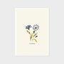 Blue Centaurea Flower Cottage Garden Botanical Print, thumbnail 2 of 4