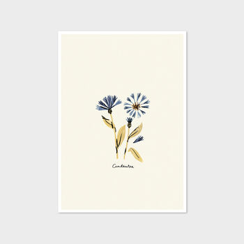 Blue Centaurea Flower Cottage Garden Botanical Print, 2 of 4