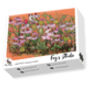 Goldfinch And Coneflowers' 1000 Piece Jigsaw Puzzle, thumbnail 2 of 4