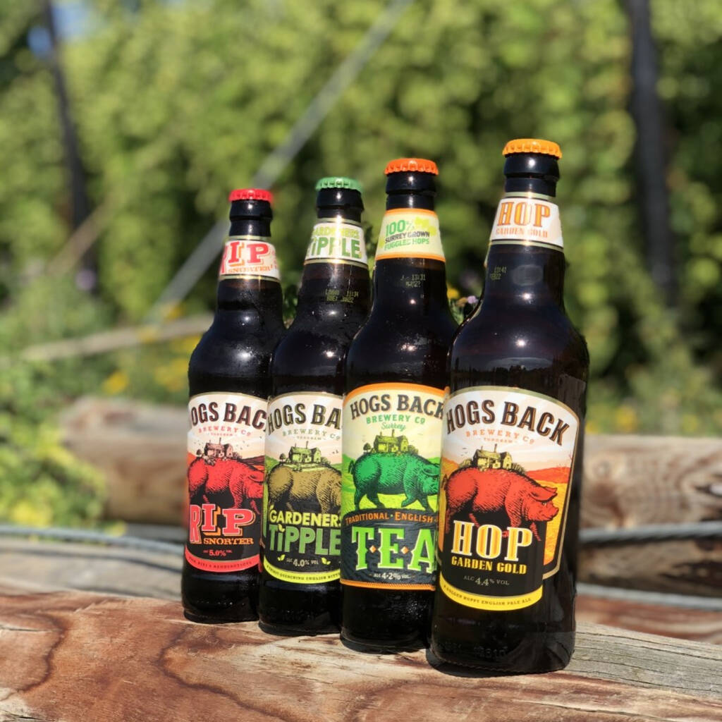Hazy Hog Cider Gift Set By Hogs Back Brewery