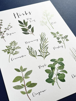Culinary Herbs A4 Art Print, 7 of 7