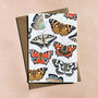 Illustrated Butterfly Greeting Card Blank Inside, thumbnail 1 of 7