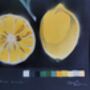 'Citrus Limon' Original Signed Spraypaint, thumbnail 3 of 12