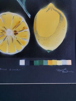 'Citrus Limon' Original Signed Spraypaint, 3 of 12
