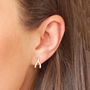 Wishbone Earrings, thumbnail 2 of 4