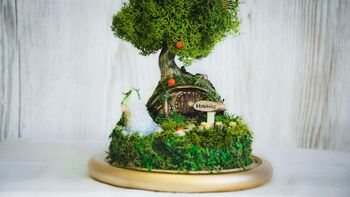 Hobbit House Terrarium With Moss, 3 of 6