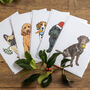 Festive Black Labrador Christmas Card, thumbnail 2 of 6