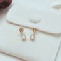 Gold Plated Crystal Drop Earrings – Elegant Gift For Her, thumbnail 2 of 4