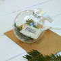Personalised Christmas Pine Bauble, thumbnail 2 of 3