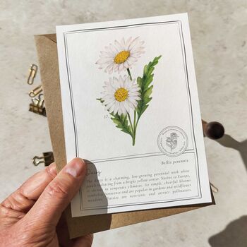 Botanical Wildflowers Postcards Gift Set, 8 of 10